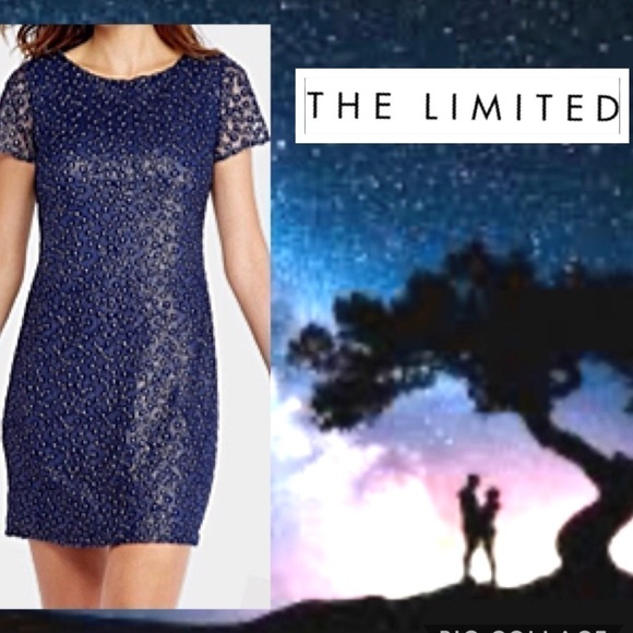 The LIMITED Celestial Dress Deep River Blue Embroidered w Metallic Silver Thread - Picture 3 of 9
